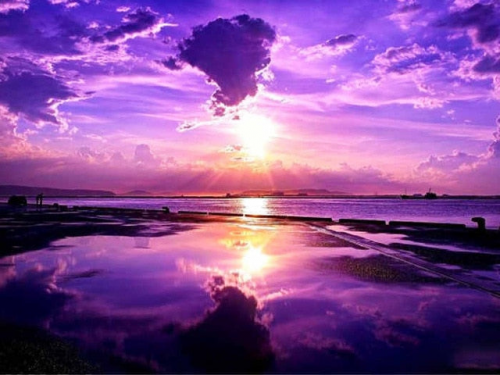 image.thumb.png.d66ff070190abdd6f4001d08b3334b5c.png