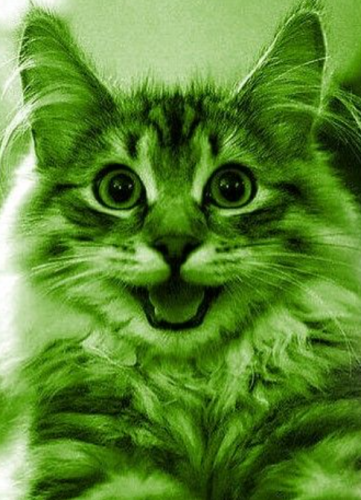 image.thumb.png.e2404c3b900565eba62d7aa935e67f7d.png