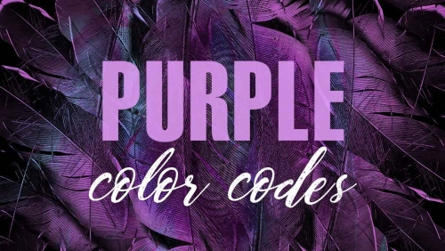 purple-color-codes-FB.thumb.jpg.a41373e781ec44a928dd5eb3d51a1dab.jpg