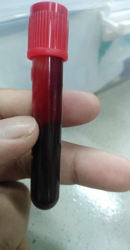 received_1144509506686758.thumb.jpeg.bd13f98278899ace9e833e71b8c8bf4c.jpeg