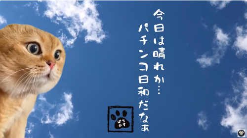 1169843970_2024-04-06184515.thumb.png.6a782cb0f0c8ed50c9a283f5529bd481.png