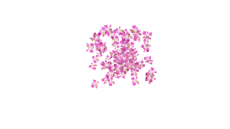 padaiushchie-tsvety-18 (1).gif