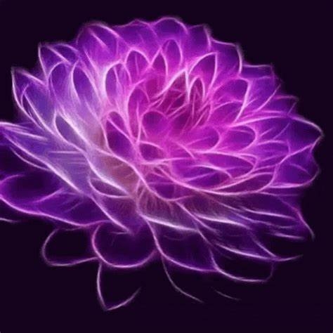 2072585921_purpleflowwer.jpg.2106b62334499cd4085da9f32966c2c3.jpg