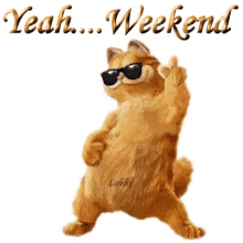 558629717_HappyWeekendGIFs_Tenor.gif.1b93dbf827fed37f626e4de177a89525.gif