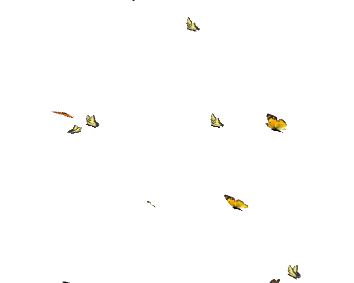 babochki-letaiushchie-animatsiia-2.gif