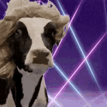 cow-blonde.gif.f3b61e56d2cb26fa597c67b19cf717d3.gif