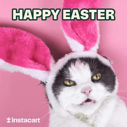 happy-easter-easter-kitty.gif.bfa80dc74e486bb10cec0623b7963109.gif