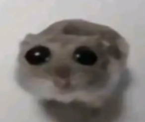 image.png.0463c2b2e38daa3035bf399149506f09.png