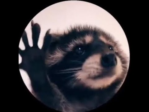 image.png.c603ab9fe6231a13a12f3c36c4723968.png