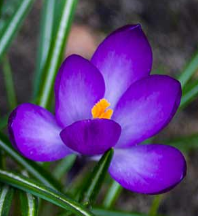 image.png.f3adcf6b3b82a15ba339e6169f58717c.png