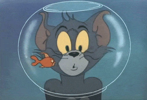 image.png.f79298a5f6548931c9ff36b38d0840f9.png