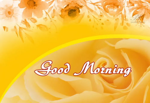 image.thumb.png.66989831438c4cc6b2c499c04d9e062a.png