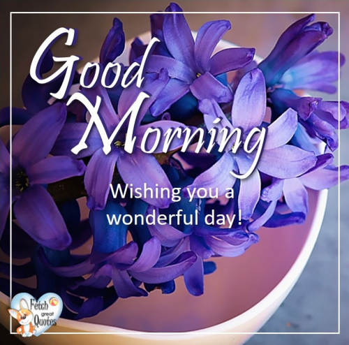 image.thumb.png.851860a77f42e71c5569a6e7ff4e5ec0.png