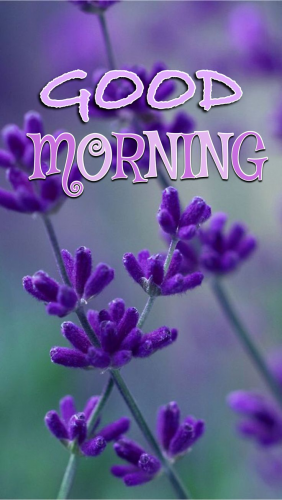 image.thumb.png.b0a6dcd60a5bf2b639d7d13218e6d4a6.png