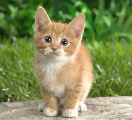 image.thumb.png.fa6c2b4837234952f85199f7fb44d05b.png