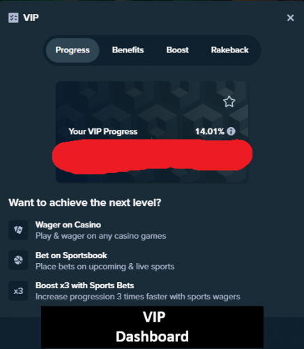 stakevipdashboard.png