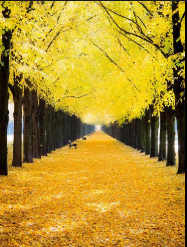 yellow.png