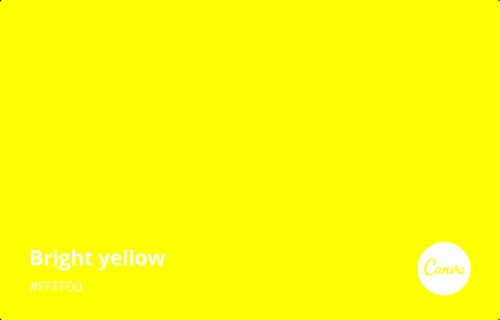 yellow.webp