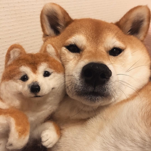7ACB97A3-D22F-44B7-A6F0-C338C049EC24.jpeg