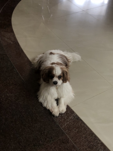 IMG_6033.jpeg