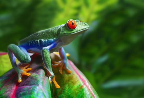 Things-That-Are-Green-In-The-World-List-Of-Things-To-Know.thumb.jpg.a6339e2cae601c5f60e57aedee3b3393.jpg