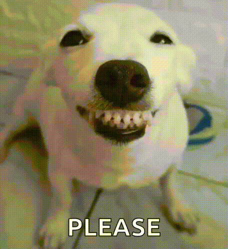 dog-smile-dog.gif.gif.28ccdee627384699af89a86564f067c4.gif