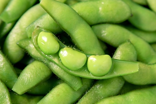 edamame.jpg