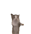 gianbortion-cat.gif.5ea26ba1b8c64600a2507cc71357ba3b.gif