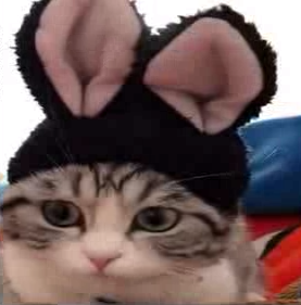 image.png.08fbb80fbfe845fa4f1528447f857b80.png