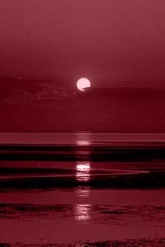 image.png.5465e0be1c2831ff6ae1305a539b2b80.png
