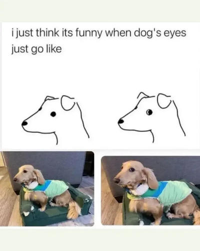 image.thumb.png.560ded7654ba83152c4c8ac80330b3ec.png