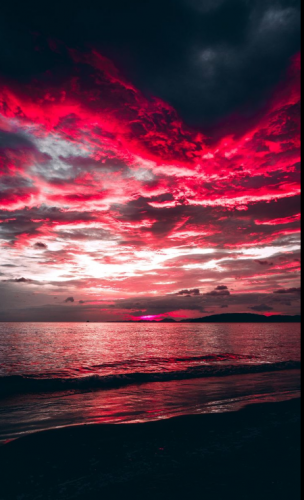 maroon.png
