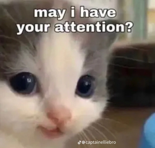 83aaa28c3e215a57b32d7262afeedac1.png