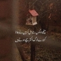 mazhar abbas