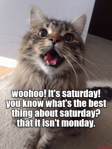 IMG_2495.png
