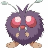 veno