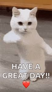 image.png.2b0ffa386e95f330382d86e9fdd4002a.png