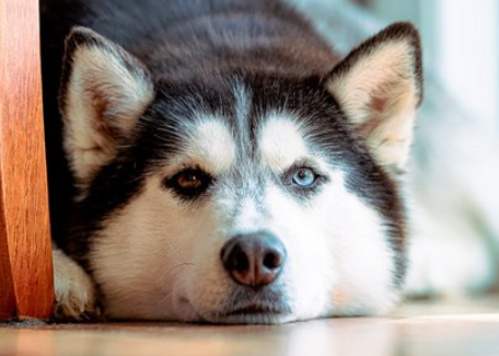 image.png.4617a41d3666d375b6a5edb0f36d3987.png