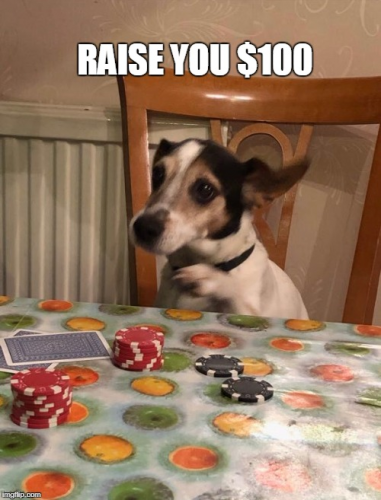 image.thumb.png.5ec6cc700c73151613bf1742929fa15c.png