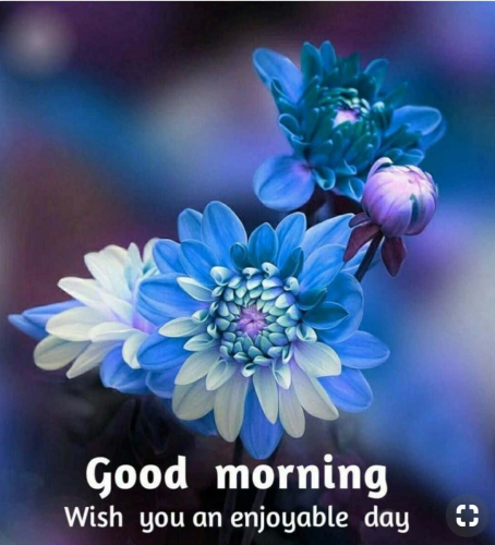 image.thumb.png.6dcec17cf5540d90bb3705bd69e98b19.png