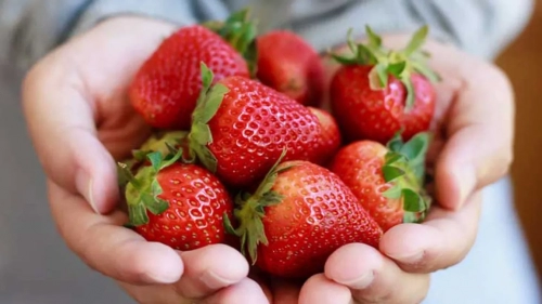 strawberry.webp