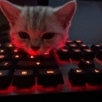 TobiasVIO