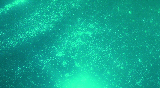 AQUA.thumb.gif.4f7e4a65411a2870efb64afc007a9440.gif