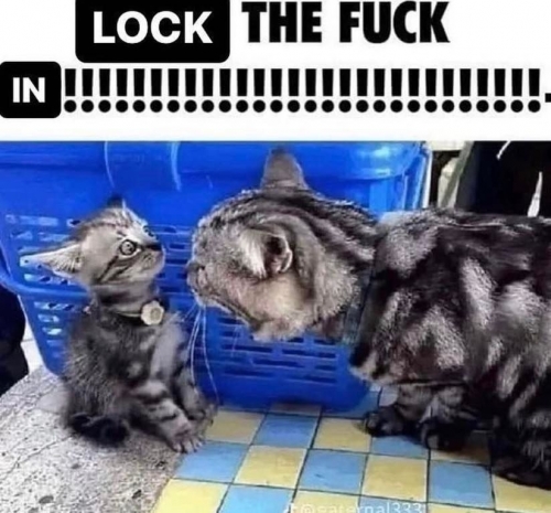 GKcLPDKWcAA3WBH.jpeg
