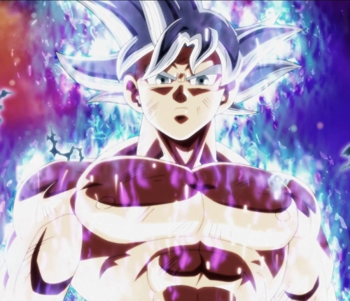 IMG_6427.jpeg
