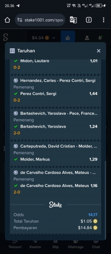 Screenshot_20240717-203602.jpg