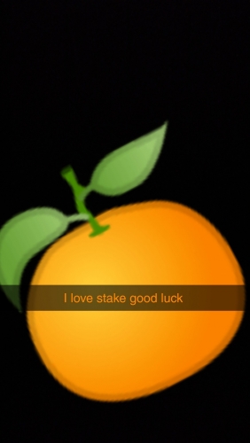 Snapchat-1611585812.jpg