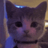 image.png.c76a66c9c0e73fb44fafeb89cf750691.png