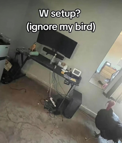 image.thumb.png.159f00c8725c183055a1ab7a1d2e92f6.png