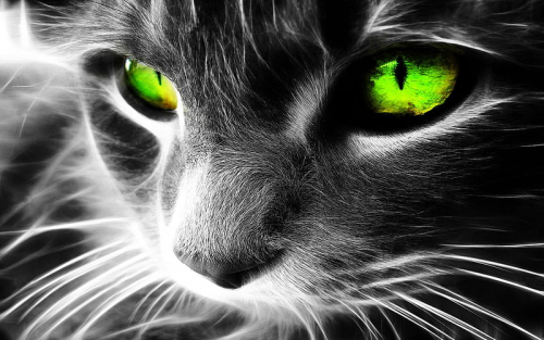 image.thumb.png.1655f2f2dbd8a4df7c32b5e97ca98614.png